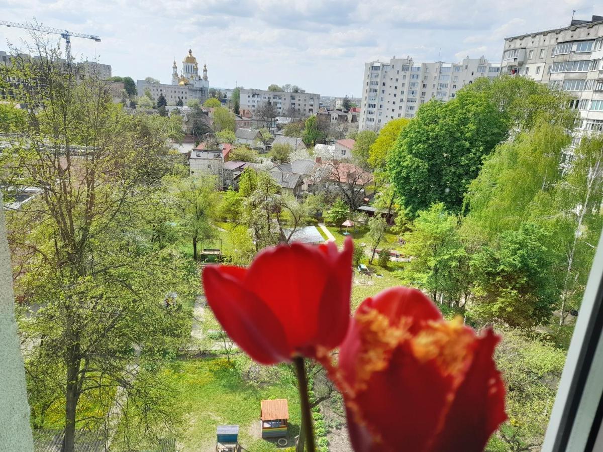 біля автовокзалу Apartment *